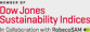 Dow Jones Sustainability Indices(다우존스 지속가능경영지수) - RobecoSAM