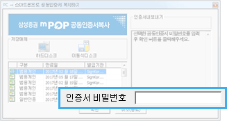 공동인증서 비밀번호 입력 안내이미지